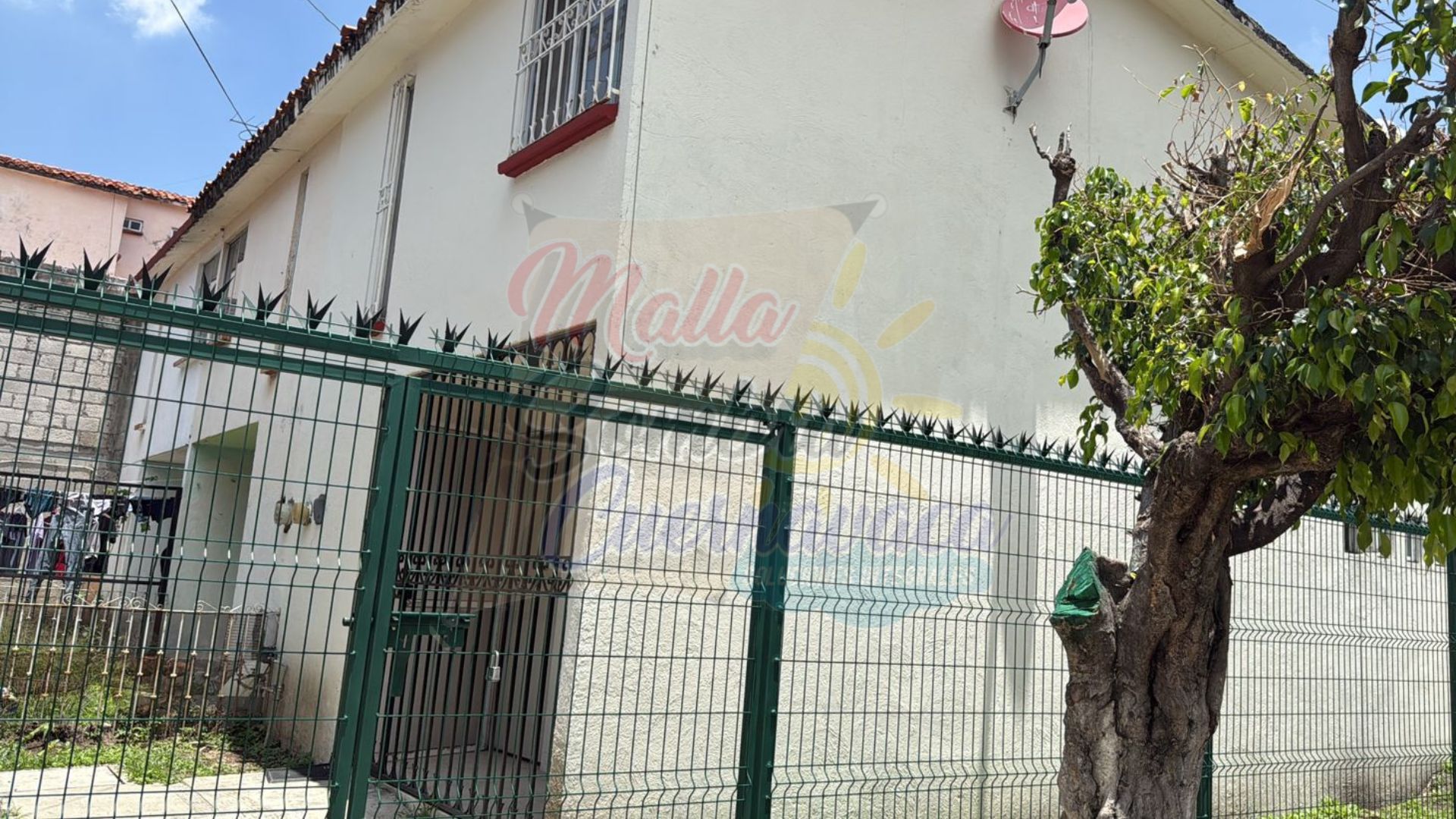 Proyecto 11