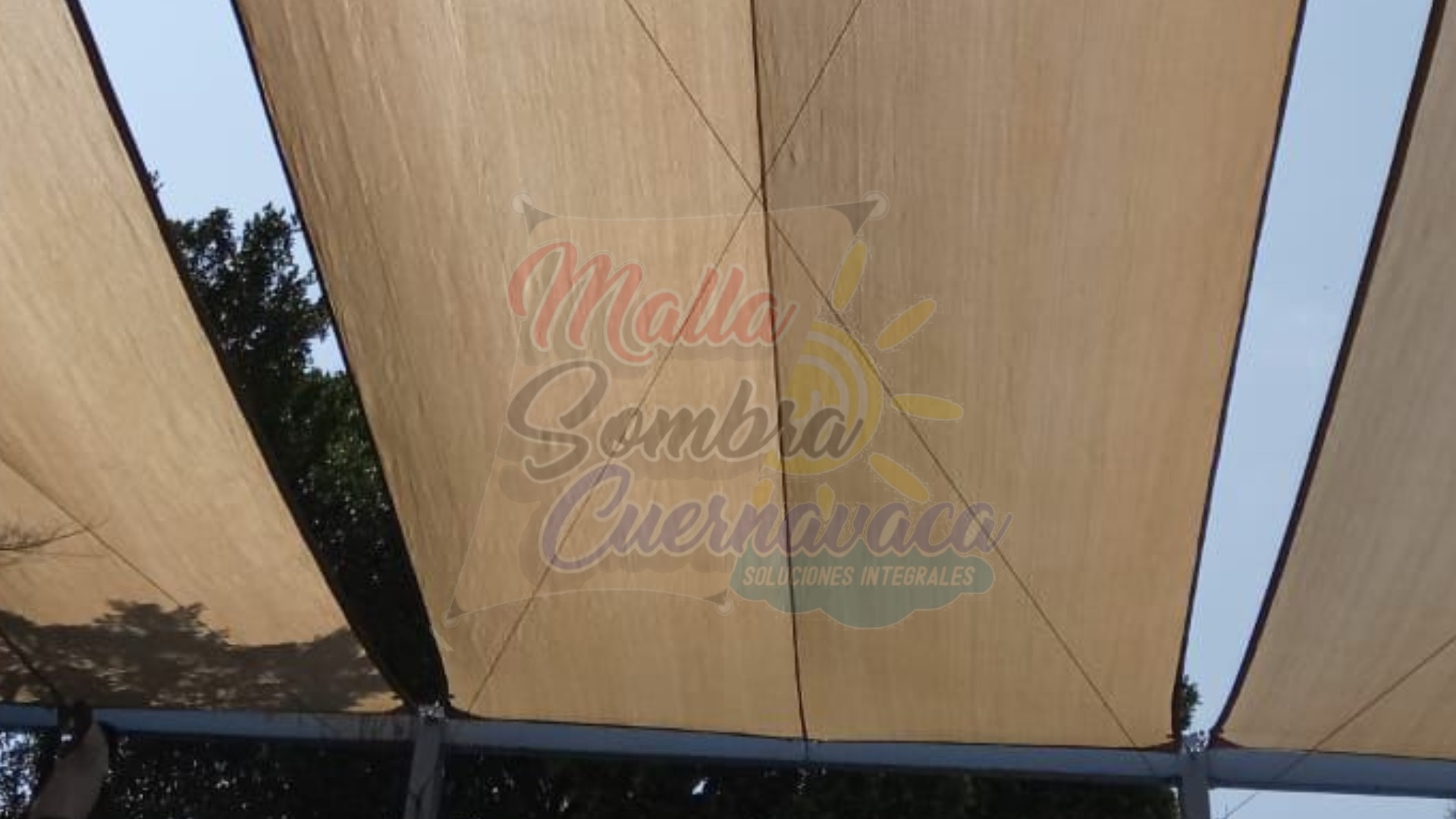 Proyecto 14